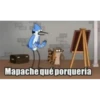 B7 Mapache qué porquería