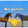 XDD 22