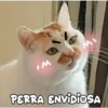 Gatitos 4 25