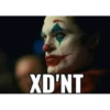 XDD 24