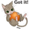 🐱🐾Cat Talk English🐾🐱 27