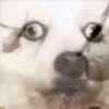 jajajajsjjaja 13 29