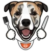 Arlo 6