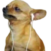 Perritos 25