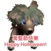 Ai-aibo 29