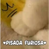 Gatitos 4 26