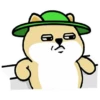 Tierno enojado 24