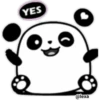 Pan Panda 🐼 🌈 29