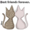 🐱🐾Cat Talk English🐾🐱 28