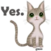 🐱🐾Cat Talk English🐾🐱 30