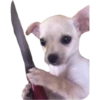 Perritos 28