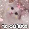 Gatitos 4 30