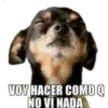 Cálmese - Peleas 2 5