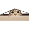 Gatitos 5