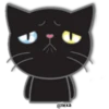 🖤🐱Black Cat🐱🖤 5