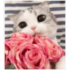 Gatitos 6