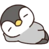 Pingüino bonito 6