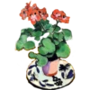 Flores 6