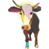COW 8