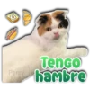 Persy Tenco hambre