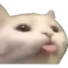 Gatos uwu 7
