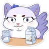 Gatita blanca 6