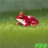 Frogs 5