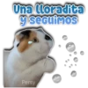 ea.pedon) eun y Seguimos Persy