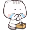 Mochi Cat gif 11