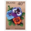 Flores 7