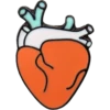 HEART2 7
