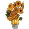 Flores 8