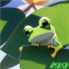 Frogs 6