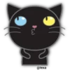 🖤🐱Black Cat🐱🖤 8