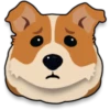 Corgi emojis 🐶 5