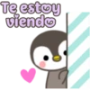 Pingufrases 13