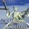 xdddd 8