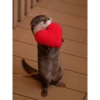 Otters Moods 8