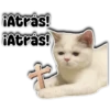 ¡Atrás! ¡Atrás! Persy