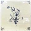 Flores 11