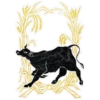 COW 12