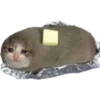 Gatos uwu 14