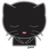 🖤🐱Black Cat🐱🖤 10