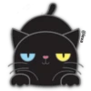 🖤🐱Black Cat🐱🖤 11