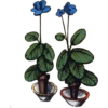 Flores 14