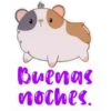 Buenas noches.