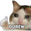 Gatitos 10