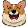 Corgi emojis 🐶 7