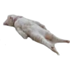 Gatitos 11