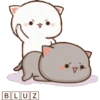 Mochi Cat gif 17